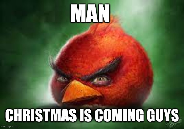 Realistic Red Angry Birds | MAN; CHRISTMAS IS COMING GUYS | image tagged in realistic red angry birds | made w/ Imgflip meme maker