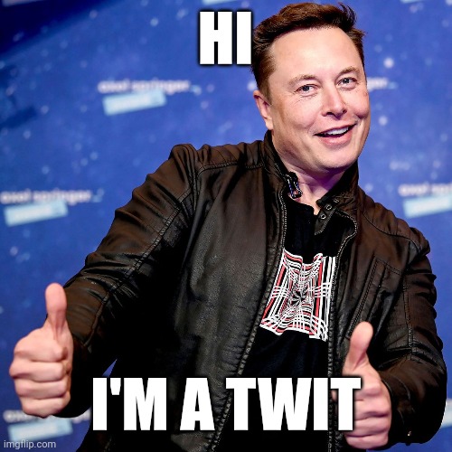 Elon musk | HI; I'M A TWIT | made w/ Imgflip meme maker