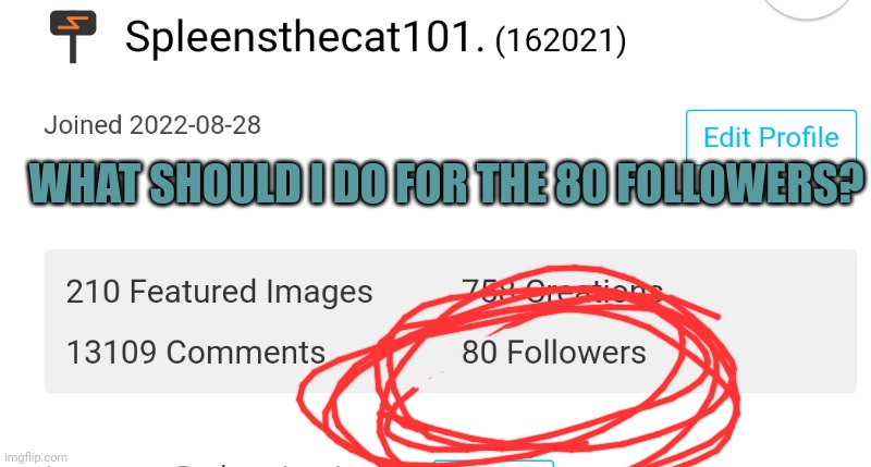 Thank you guys so much!!! | WHAT SHOULD I DO FOR THE 80 FOLLOWERS? | image tagged in thank you,happy | made w/ Imgflip meme maker