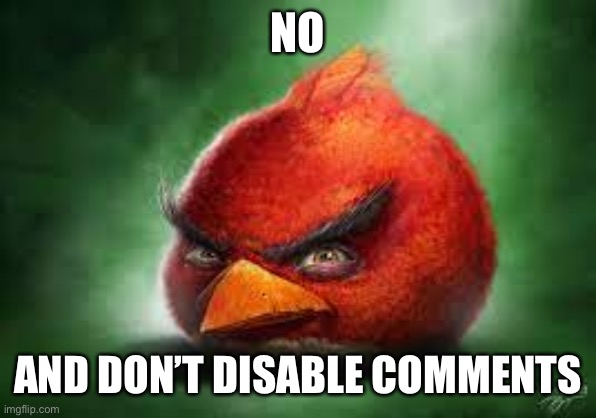 Realistic Red Angry Birds | NO AND DON’T DISABLE COMMENTS | image tagged in realistic red angry birds | made w/ Imgflip meme maker