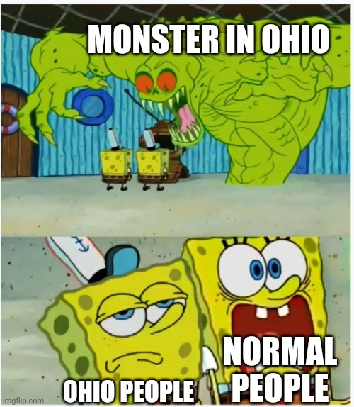 SpongeBob SquarePants scared but also not scared | MONSTER IN OHIO; NORMAL PEOPLE; OHIO PEOPLE | image tagged in spongebob squarepants scared but also not scared | made w/ Imgflip meme maker