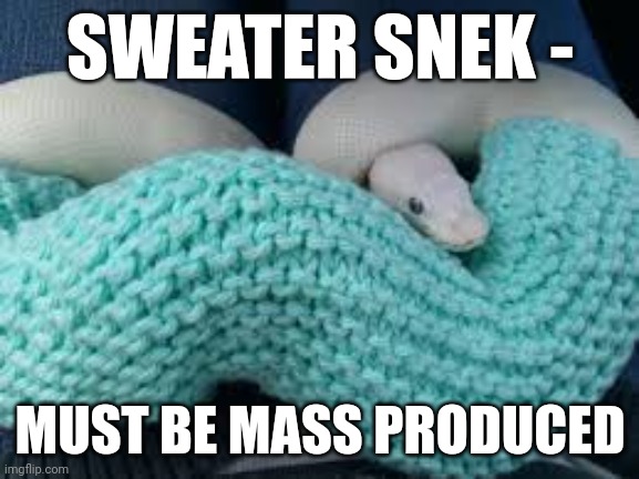 Why don't more of these exist? |  SWEATER SNEK -; MUST BE MASS PRODUCED | image tagged in snek,sweater,winter | made w/ Imgflip meme maker