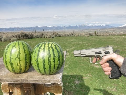 High Quality Watermelons vs gun Blank Meme Template