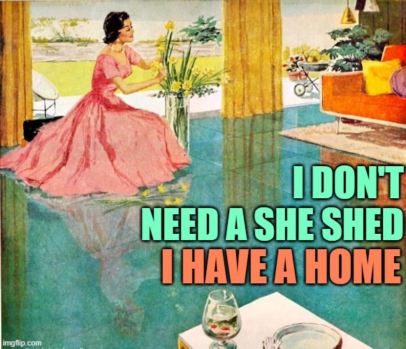 She Shed Housewife | I DON'T NEED A SHE SHED; I HAVE A HOME | image tagged in 50s housewife,funny memes,lol,she shed,vintage,housewife | made w/ Imgflip meme maker