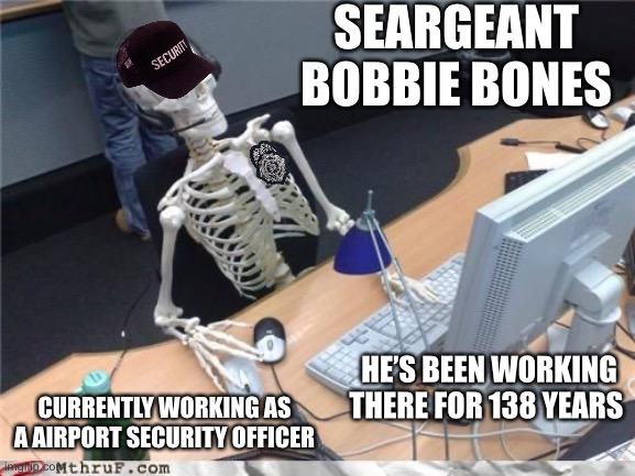 Skeleton Computer | SEARGEANT BOBBIE BONES; HE’S BEEN WORKING THERE FOR 138 YEARS; CURRENTLY WORKING AS A AIRPORT SECURITY OFFICER | image tagged in skeleton computer | made w/ Imgflip meme maker
