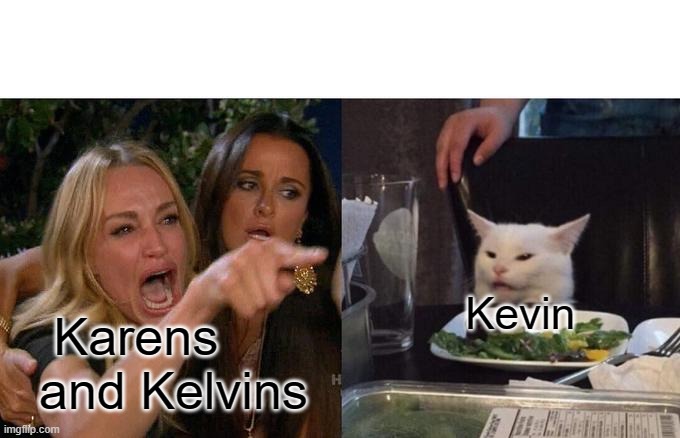 Kevin against Karens (And Kelvins) In a Nutshell | Kevin; Karens and Kelvins | image tagged in memes,woman yelling at cat | made w/ Imgflip meme maker
