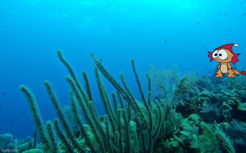 The frilled creature from the Atlantic | made w/ Imgflip meme maker