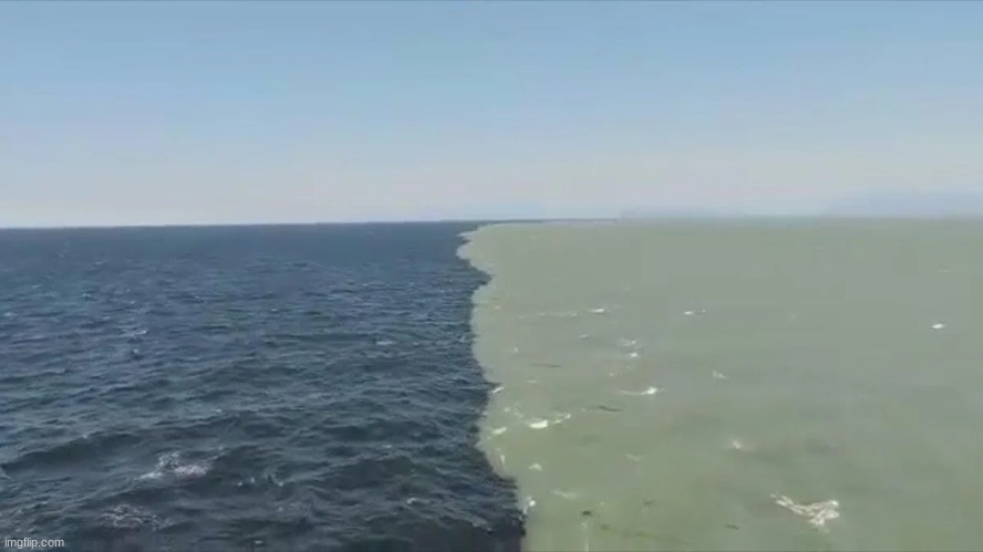 Just 2 oceans that don't mix | made w/ Imgflip meme maker