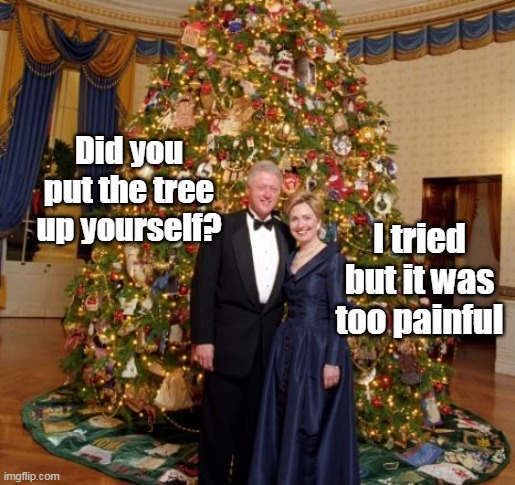 Did you put the tree up yourself? I tried but it was too painful | made w/ Imgflip meme maker