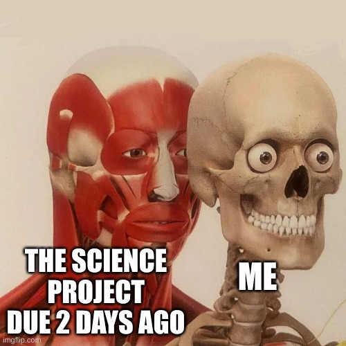 Muscle Man Behind Skeleton | THE SCIENCE PROJECT DUE 2 DAYS AGO; ME | image tagged in muscle man behind skeleton | made w/ Imgflip meme maker