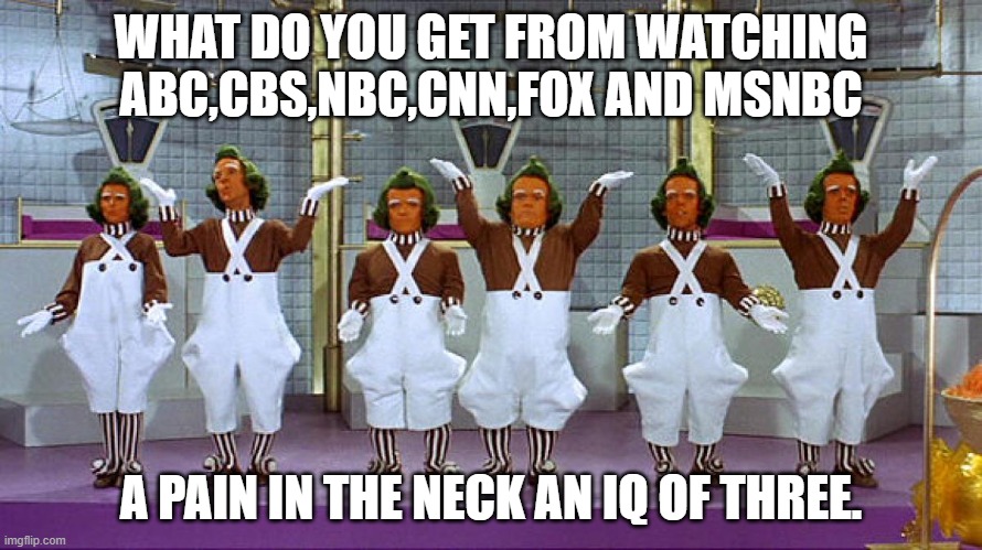 Brainwashed Propaganda. | WHAT DO YOU GET FROM WATCHING ABC,CBS,NBC,CNN,FOX AND MSNBC; A PAIN IN THE NECK AN IQ OF THREE. | image tagged in oompa loompas,cnn,fox news,cbs,msnbc,mainstream media | made w/ Imgflip meme maker