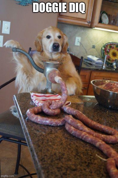 dog sausages | DOGGIE DIQ | image tagged in dog sausages | made w/ Imgflip meme maker