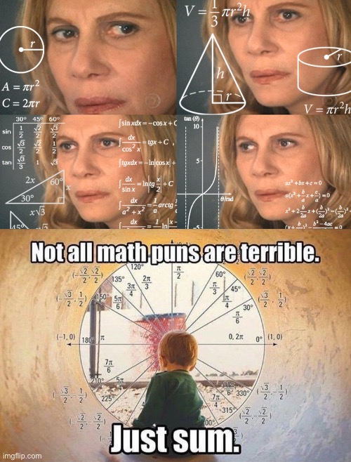 Math puns | image tagged in confused math lady,bad puns,puns | made w/ Imgflip meme maker