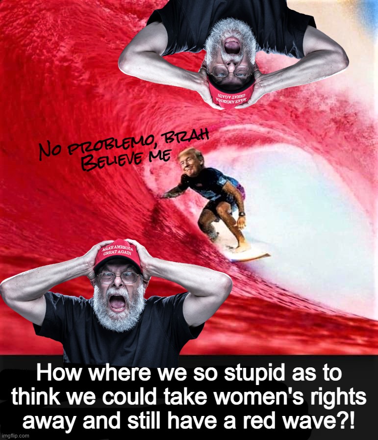 yeah. how were ya?! | No problemo, brah
Believe me; How where we so stupid as to
think we could take women's rights
away and still have a red wave?! | image tagged in trump surfing a red wave,maga,tears,complete,idiots,trump is a moron | made w/ Imgflip meme maker