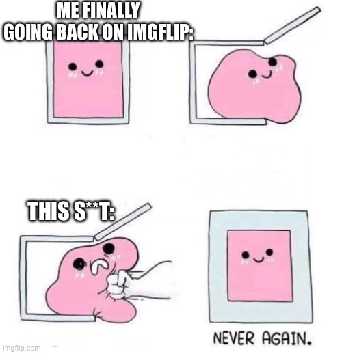 Never again | ME FINALLY GOING BACK ON IMGFLIP: THIS S**T: | image tagged in never again | made w/ Imgflip meme maker