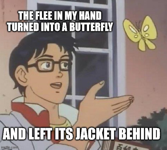 Is This A Pigeon Meme | THE FLEE IN MY HAND TURNED INTO A BUTTERFLY; AND LEFT ITS JACKET BEHIND | image tagged in memes,is this a pigeon | made w/ Imgflip meme maker
