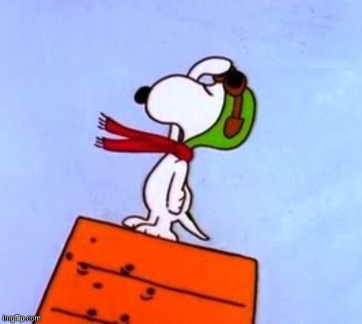 Snoopy Salute | image tagged in snoopy salute | made w/ Imgflip meme maker