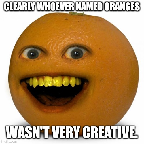 Annoying Orange | CLEARLY WHOEVER NAMED ORANGES; WASN'T VERY CREATIVE. | image tagged in annoying orange | made w/ Imgflip meme maker