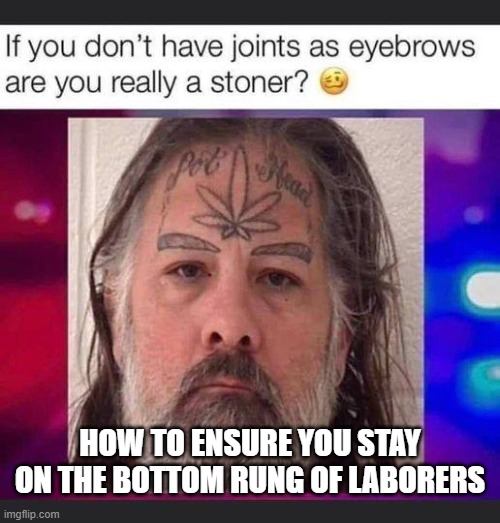 bottom | HOW TO ENSURE YOU STAY ON THE BOTTOM RUNG OF LABORERS | image tagged in weed,marijuana,tattoos,funny,stupid,stupid people | made w/ Imgflip meme maker