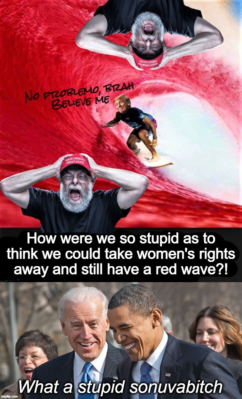 this one is longer and i fixed my typo.... | How were we so stupid as to think we could take women's rights
away and still have a red wave?! | image tagged in red,wave,goodbye,no,problemo,trump bruh | made w/ Imgflip meme maker