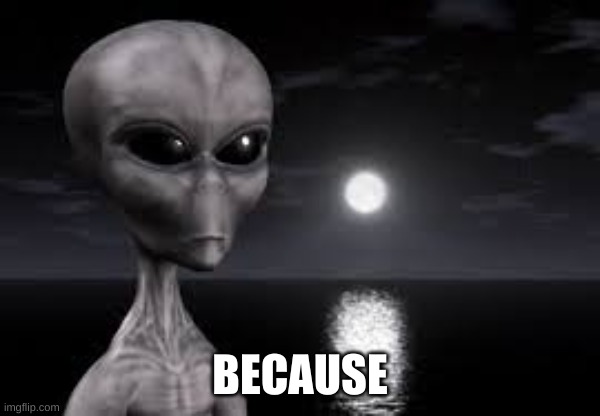 ayy lmao | BECAUSE | image tagged in ayy lmao | made w/ Imgflip meme maker