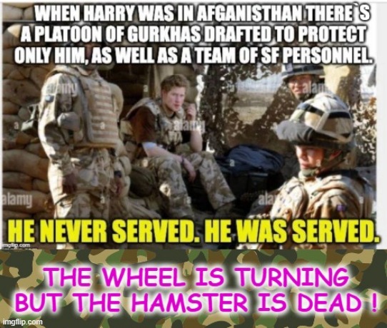 Pretend Soldier | image tagged in prince harry | made w/ Imgflip meme maker
