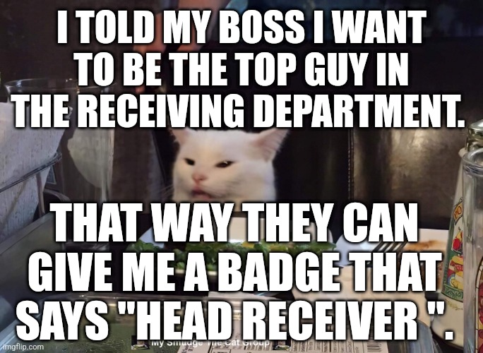 I TOLD MY BOSS I WANT TO BE THE TOP GUY IN THE RECEIVING DEPARTMENT. THAT WAY THEY CAN GIVE ME A BADGE THAT SAYS "HEAD RECEIVER ". | image tagged in smudge the cat | made w/ Imgflip meme maker