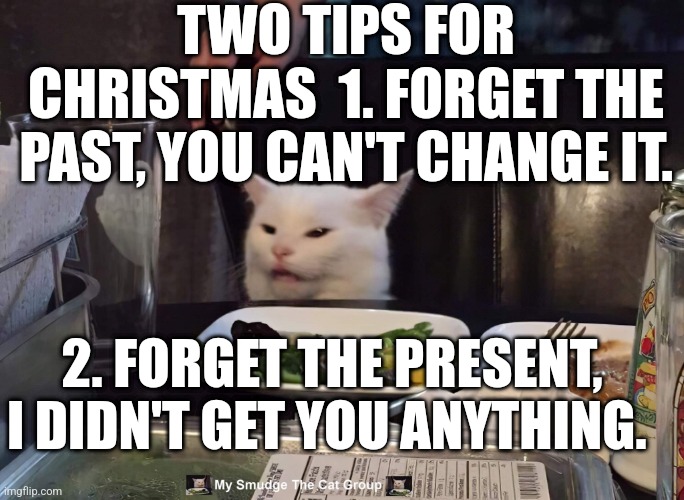 TWO TIPS FOR CHRISTMAS  1. FORGET THE PAST, YOU CAN'T CHANGE IT. 2. FORGET THE PRESENT, I DIDN'T GET YOU ANYTHING. | image tagged in smudge the cat | made w/ Imgflip meme maker