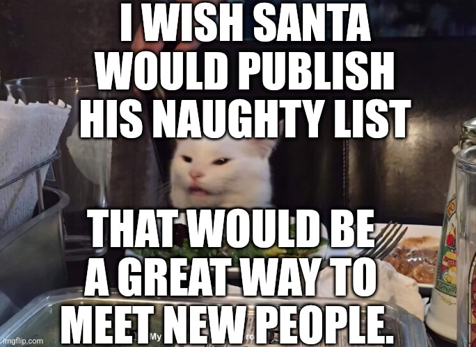 I WISH SANTA WOULD PUBLISH HIS NAUGHTY LIST; THAT WOULD BE A GREAT WAY TO MEET NEW PEOPLE. | image tagged in smudge the cat | made w/ Imgflip meme maker