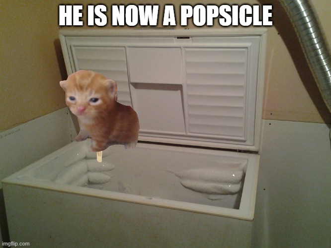 freezer | HE IS NOW A POPSICLE | image tagged in freezer | made w/ Imgflip meme maker