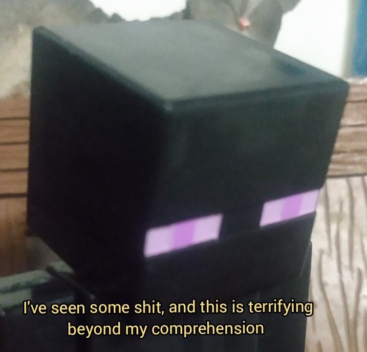 High Quality Enderman is scared beyond comprehension Blank Meme Template