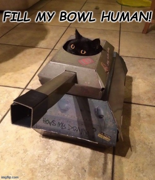 How cats see their human! | image tagged in funny cats,cats with guns | made w/ Imgflip meme maker