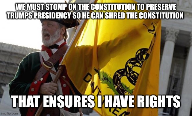 Tea Party | WE MUST STOMP ON THE CONSTITUTION TO PRESERVE TRUMPS PRESIDENCY SO HE CAN SHRED THE CONSTITUTION THAT ENSURES I HAVE RIGHTS | image tagged in tea party | made w/ Imgflip meme maker