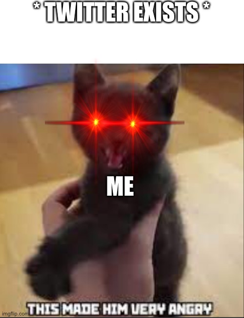 Um sure | * TWITTER EXISTS *; ME | image tagged in angry artyom life of boris cat | made w/ Imgflip meme maker
