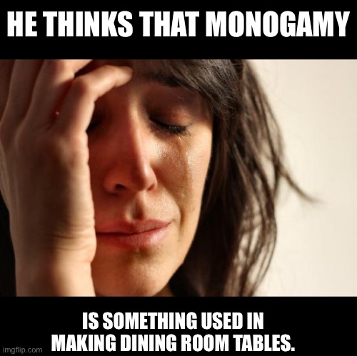 Monogamy | HE THINKS THAT MONOGAMY; IS SOMETHING USED IN MAKING DINING ROOM TABLES. | image tagged in memes,first world problems | made w/ Imgflip meme maker