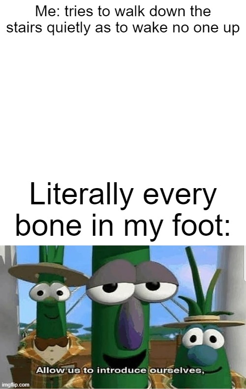 Me: tries to walk down the stairs quietly as to wake no one up; Literally every bone in my foot: | image tagged in memes,blank transparent square,allow us to introduce ourselves | made w/ Imgflip meme maker