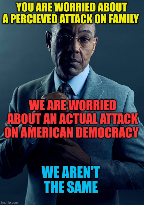 Gus Fring we are not the same | YOU ARE WORRIED ABOUT A PERCIEVED ATTACK ON FAMILY WE ARE WORRIED ABOUT AN ACTUAL ATTACK ON AMERICAN DEMOCRACY WE AREN'T THE SAME | image tagged in gus fring we are not the same | made w/ Imgflip meme maker