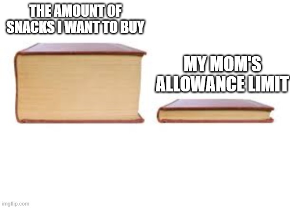 Big Book and Small Book |  THE AMOUNT OF SNACKS I WANT TO BUY; MY MOM'S ALLOWANCE LIMIT | image tagged in big book and small book | made w/ Imgflip meme maker