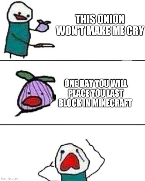 this onion won't make me cry | THIS ONION WON'T MAKE ME CRY; ONE DAY YOU WILL PLACE YOU LAST BLOCK IN MINECRAFT | image tagged in this onion won't make me cry,minecraft memes,sad | made w/ Imgflip meme maker