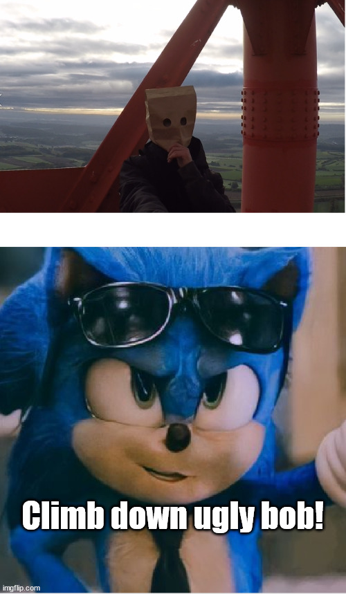 Sonic | Climb down ugly bob! | image tagged in sonic | made w/ Imgflip meme maker