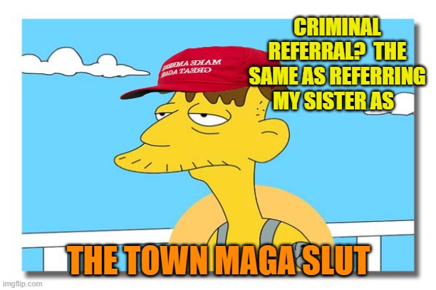 Oh, look. It's Cletus. | CRIMINAL REFERRAL?  THE SAME AS REFERRING MY SISTER AS THE TOWN MAGA SLUT | image tagged in oh look it's cletus | made w/ Imgflip meme maker
