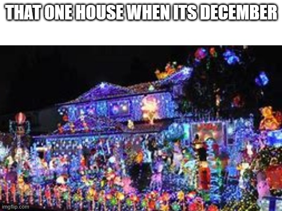 ong | THAT ONE HOUSE WHEN ITS DECEMBER | image tagged in so true memes | made w/ Imgflip meme maker