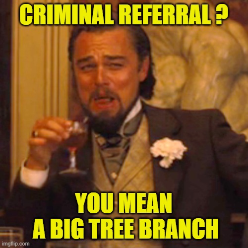 Laughing Leo Meme | CRIMINAL REFERRAL ? YOU MEAN
 A BIG TREE BRANCH | image tagged in memes,laughing leo | made w/ Imgflip meme maker