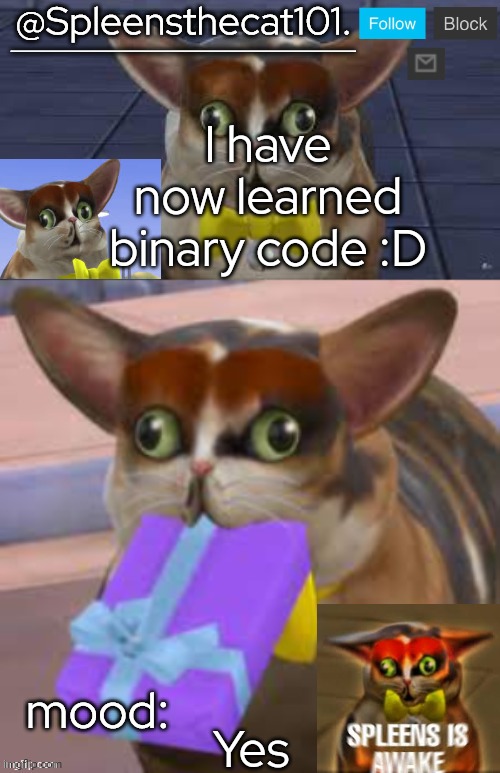 Finally | I have now learned binary code :D; Yes | image tagged in spleensthecat101 | made w/ Imgflip meme maker