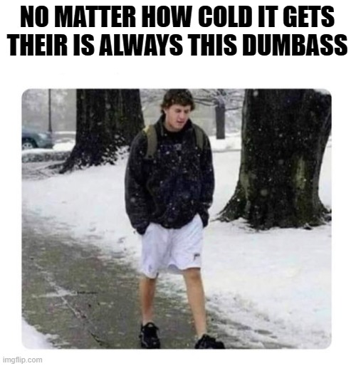 NO MATTER HOW COLD IT GETS THEIR IS ALWAYS THIS DUMBASS | made w/ Imgflip meme maker