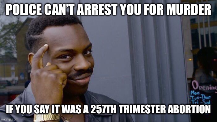 Roll Safe Think About It | POLICE CAN’T ARREST YOU FOR MURDER; IF YOU SAY IT WAS A 257TH TRIMESTER ABORTION | image tagged in memes,roll safe think about it | made w/ Imgflip meme maker