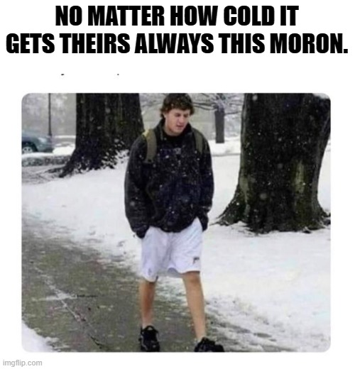 NO MATTER HOW COLD IT GETS THEIRS ALWAYS THIS MORON. | made w/ Imgflip meme maker
