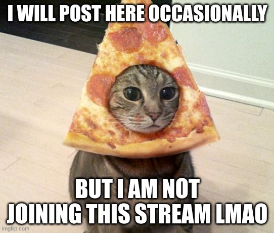 h | I WILL POST HERE OCCASIONALLY; BUT I AM NOT JOINING THIS STREAM LMAO | image tagged in pizza cat | made w/ Imgflip meme maker