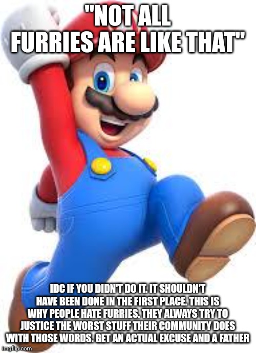 mario | "NOT ALL FURRIES ARE LIKE THAT"; IDC IF YOU DIDN'T DO IT. IT SHOULDN'T HAVE BEEN DONE IN THE FIRST PLACE. THIS IS WHY PEOPLE HATE FURRIES. THEY ALWAYS TRY TO JUSTICE THE WORST STUFF THEIR COMMUNITY DOES WITH THOSE WORDS. GET AN ACTUAL EXCUSE AND A FATHER | image tagged in mario | made w/ Imgflip meme maker