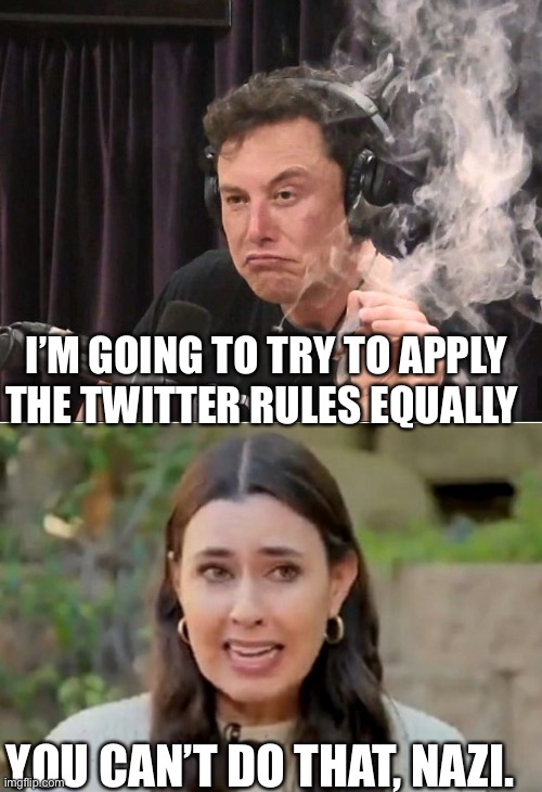 I’M GOING TO TRY TO APPLY THE TWITTER RULES EQUALLY; YOU CAN’T DO THAT, NAZI. | image tagged in elon musk smoking a joint,taylor lorenz | made w/ Imgflip meme maker